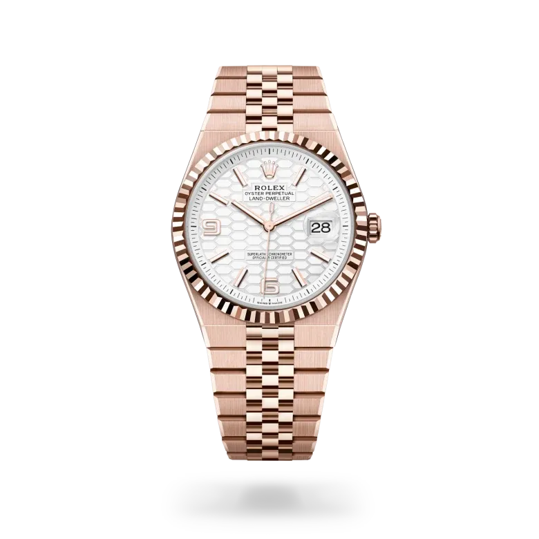 Rolex Land-Dweller 40 Ouro Everose 18 quilates, M127335-0001