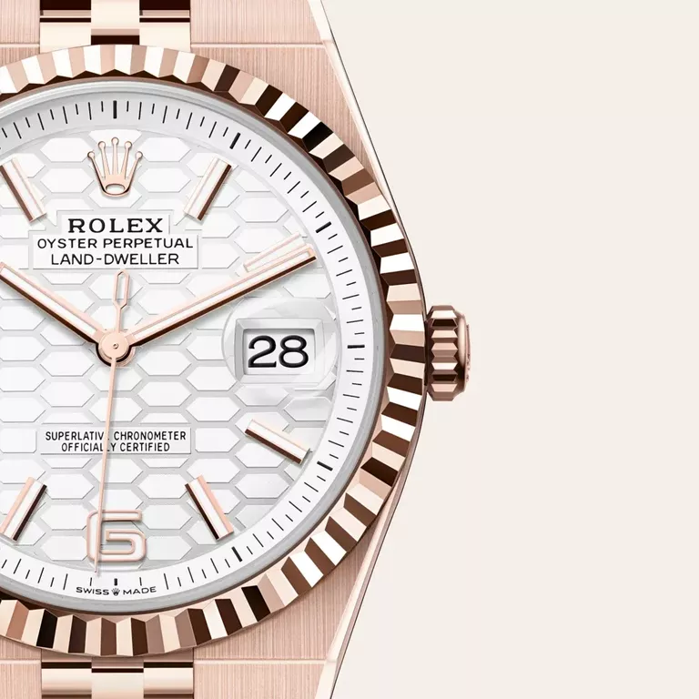 Rolex Land-Dweller 40 Ouro Everose 18 quilates, M127335-0001
